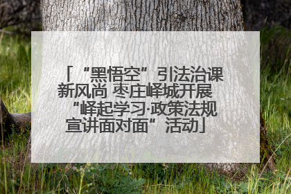 “黑悟空”引法治课新风尚 枣庄峄城开展“峄起学习·政策法规宣讲面对面”活动