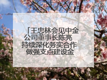 王忠林会见中金公司董事长陈亮 持续深化务实合作 做强支点建设金融支撑