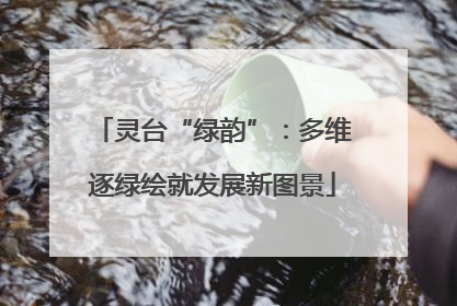 灵台“绿韵”：多维逐绿绘就发展新图景