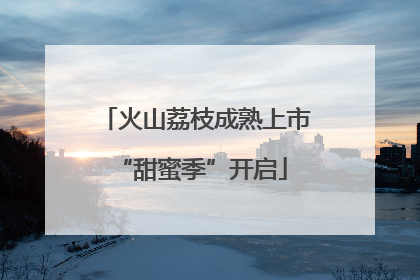 火山荔枝成熟上市 “甜蜜季”开启