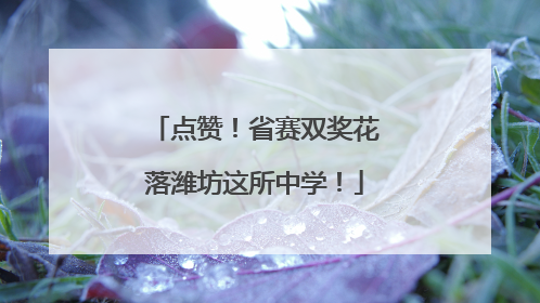 点赞！省赛双奖花落潍坊这所中学！