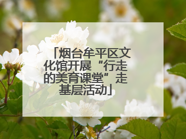 烟台牟平区文化馆开展“行走的美育课堂”走基层活动