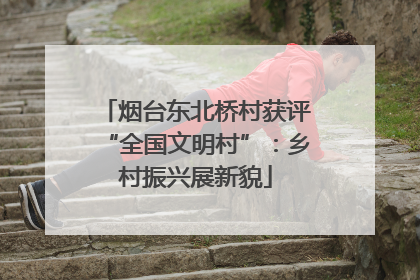 烟台东北桥村获评“全国文明村”：乡村振兴展新貌