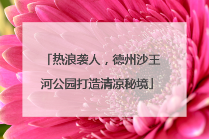 热浪袭人，德州沙王河公园打造清凉秘境