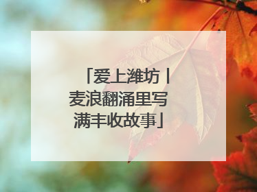 爱上潍坊丨麦浪翻涌里写满丰收故事