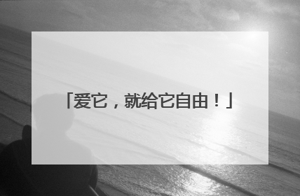 爱它，就给它自由！