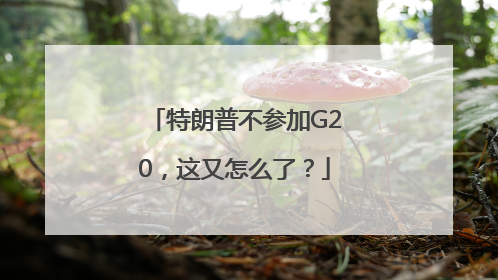 特朗普不参加G20，这又怎么了？