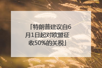 特朗普建议自6月1日起对欧盟征收50%的关税