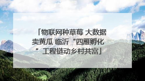 物联网种草莓 大数据卖黄瓜 临沂“四雁孵化”工程链动乡村共富