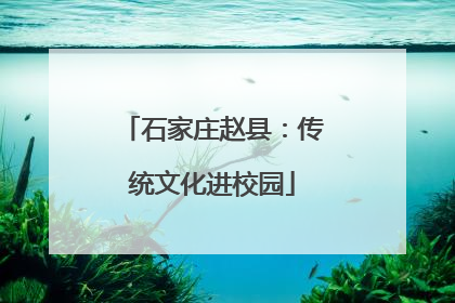 石家庄赵县：传统文化进校园
