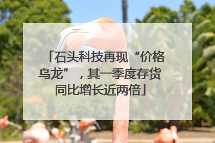 石头科技再现“价格乌龙”，其一季度存货同比增长近两倍
