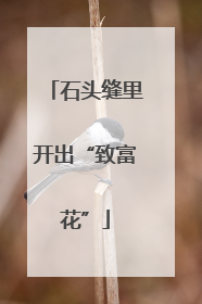 石头缝里开出“致富花”