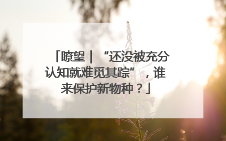瞭望｜“还没被充分认知就难觅其踪”，谁来保护新物种？