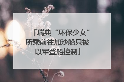瑞典“环保少女”所乘前往加沙船只被以军登船控制
