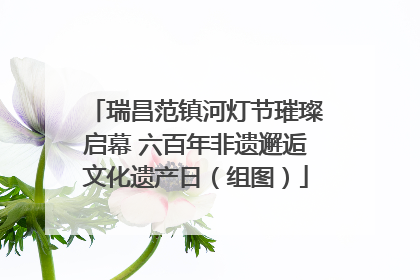 瑞昌范镇河灯节璀璨启幕 六百年非遗邂逅文化遗产日（组图）
