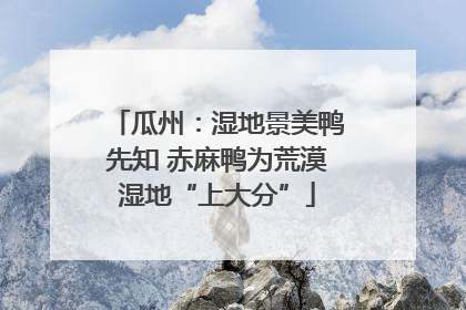 瓜州：湿地景美鸭先知 赤麻鸭为荒漠湿地“上大分”