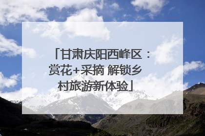 甘肃庆阳西峰区：赏花+采摘 解锁乡村旅游新体验