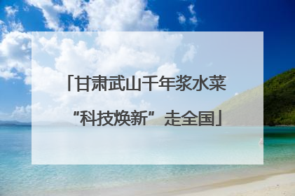 甘肃武山千年浆水菜“科技焕新”走全国