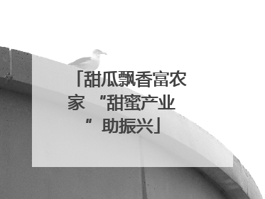 甜瓜飘香富农家 “甜蜜产业”助振兴