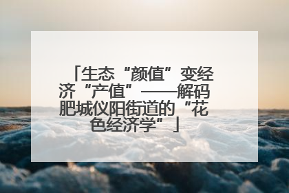 生态“颜值”变经济“产值”——解码肥城仪阳街道的“花色经济学”