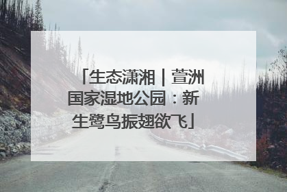 生态潇湘｜萱洲国家湿地公园：新生鹭鸟振翅欲飞