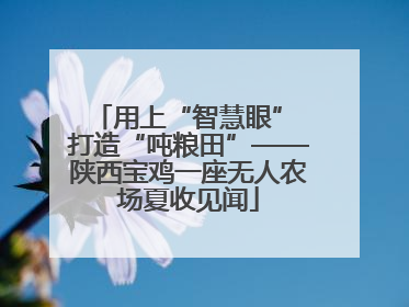 用上“智慧眼” 打造“吨粮田”——陕西宝鸡一座无人农场夏收见闻