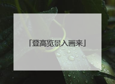 登高览景入画来