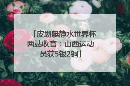皮划艇静水世界杯两站收官：山西运动员获5银2铜