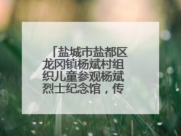 盐城市盐都区龙冈镇杨斌村组织儿童参观杨斌烈士纪念馆，传承红色基因