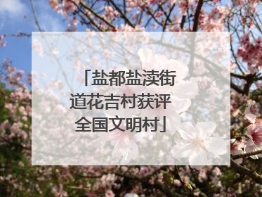 盐都盐渎街道花吉村获评全国文明村