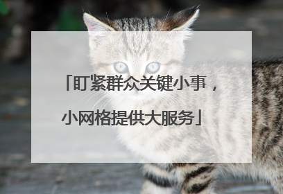 盯紧群众关键小事，小网格提供大服务