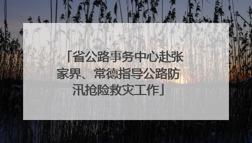 省公路事务中心赴张家界、常德指导公路防汛抢险救灾工作