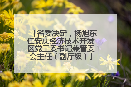 省委决定，杨旭东任安庆经济技术开发区党工委书记兼管委会主任（副厅级）