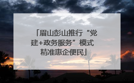 眉山彭山推行“党建+政务服务”模式 精准惠企便民