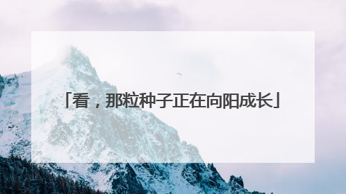 看，那粒种子正在向阳成长
