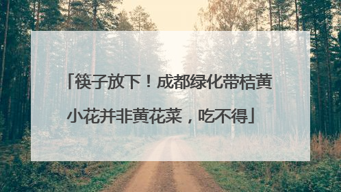 筷子放下！成都绿化带桔黄小花并非黄花菜，吃不得