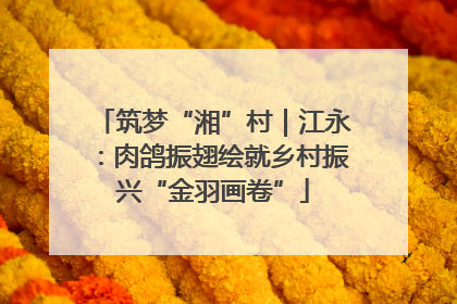 筑梦“湘”村｜江永：肉鸽振翅绘就乡村振兴“金羽画卷”