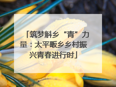 筑梦斛乡“青”力量：太平畈乡乡村振兴青春进行时