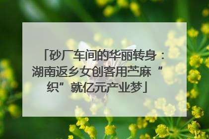 砂厂车间的华丽转身：湖南返乡女创客用苎麻“织”就亿元产业梦