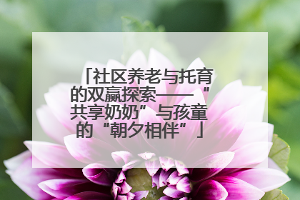 社区养老与托育的双赢探索——“共享奶奶”与孩童的“朝夕相伴”