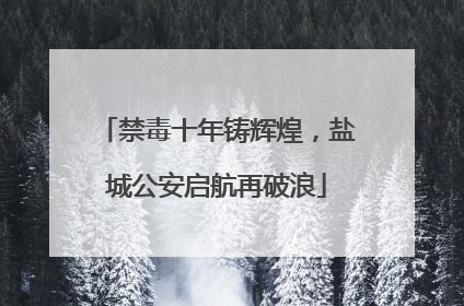 禁毒十年铸辉煌，盐城公安启航再破浪
