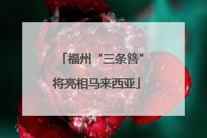 福州“三条簪”将亮相马来西亚