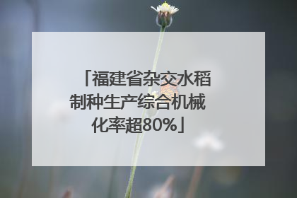 福建省杂交水稻制种生产综合机械化率超80%