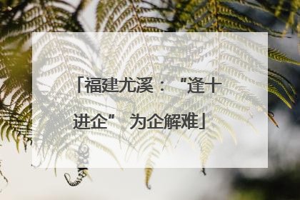 福建尤溪：“逢十进企” 为企解难