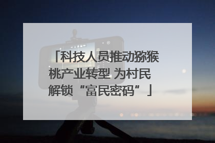 科技人员推动猕猴桃产业转型 为村民解锁“富民密码”