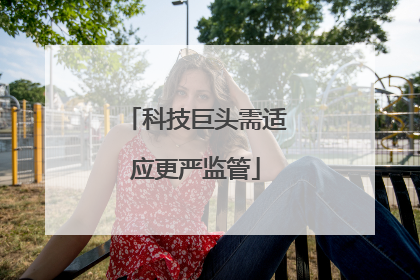 科技巨头需适应更严监管