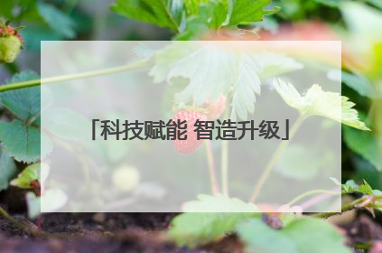 科技赋能 智造升级
