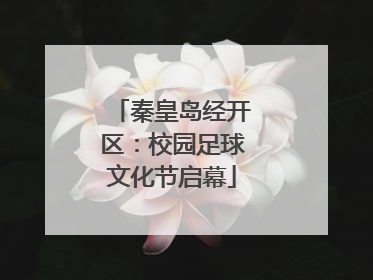 秦皇岛经开区：校园足球文化节启幕