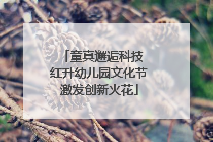 童真邂逅科技 红升幼儿园文化节激发创新火花