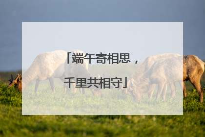 端午寄相思，千里共相守